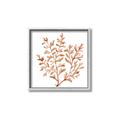 Picture of Orange Coral  _GroupedProduct_Square_Canvas_Framed_