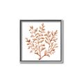 Picture of Orange Coral  _GroupedProduct_Square_Canvas_Framed_