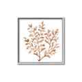 Picture of Orange Coral  _GroupedProduct_Square_Canvas_Framed_