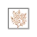 Picture of Orange Coral  _GroupedProduct_Square_Canvas_Framed_