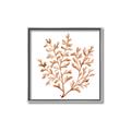 Picture of Orange Coral  _GroupedProduct_Square_Canvas_Framed_