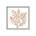 Picture of Orange Coral  _GroupedProduct_Square_Canvas_Framed_