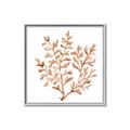 Picture of Orange Coral  _GroupedProduct_Square_Canvas_Framed_