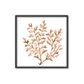 Picture of Orange Coral  _GroupedProduct_Square_Canvas_Framed_