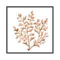Picture of Orange Coral  _GroupedProduct_Square_Canvas_Framed_