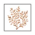 Picture of Orange Coral  _GroupedProduct_Square_Canvas_Framed_