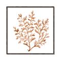 Picture of Orange Coral  _GroupedProduct_Square_Canvas_Framed_