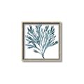 Picture of Teal Coral  _GroupedProduct_Square_Canvas_Framed_