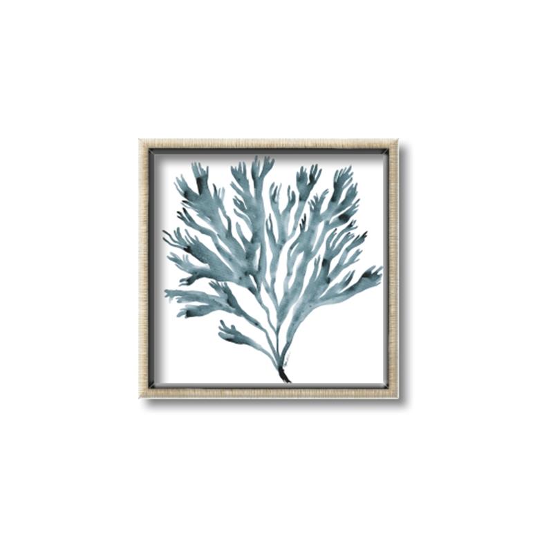 Picture of Teal Coral  _GroupedProduct_Square_Canvas_Framed_
