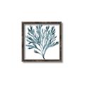 Picture of Teal Coral  _GroupedProduct_Square_Canvas_Framed_