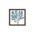 Picture of Teal Coral  _GroupedProduct_Square_Canvas_Framed_