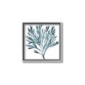 Picture of Teal Coral  _GroupedProduct_Square_Canvas_Framed_