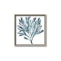 Picture of Teal Coral  _GroupedProduct_Square_Canvas_Framed_