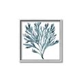 Picture of Teal Coral  _GroupedProduct_Square_Canvas_Framed_