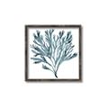 Picture of Teal Coral  _GroupedProduct_Square_Canvas_Framed_