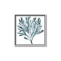 Picture of Teal Coral  _GroupedProduct_Square_Canvas_Framed_