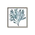 Picture of Teal Coral  _GroupedProduct_Square_Canvas_Framed_
