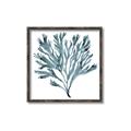 Picture of Teal Coral  _GroupedProduct_Square_Canvas_Framed_