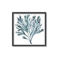 Picture of Teal Coral  _GroupedProduct_Square_Canvas_Framed_