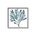 Picture of Teal Coral  _GroupedProduct_Square_Canvas_Framed_