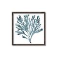 Picture of Teal Coral  _GroupedProduct_Square_Canvas_Framed_