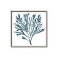 Picture of Teal Coral  _GroupedProduct_Square_Canvas_Framed_