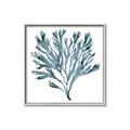 Picture of Teal Coral  _GroupedProduct_Square_Canvas_Framed_