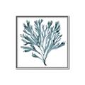 Picture of Teal Coral  _GroupedProduct_Square_Canvas_Framed_