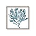 Picture of Teal Coral  _GroupedProduct_Square_Canvas_Framed_