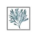 Picture of Teal Coral  _GroupedProduct_Square_Canvas_Framed_