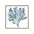 Picture of Teal Coral  _GroupedProduct_Square_Canvas_Framed_