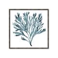 Picture of Teal Coral  _GroupedProduct_Square_Canvas_Framed_