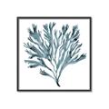 Picture of Teal Coral  _GroupedProduct_Square_Canvas_Framed_
