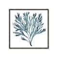 Picture of Teal Coral  _GroupedProduct_Square_Canvas_Framed_
