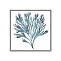 Picture of Teal Coral  _GroupedProduct_Square_Canvas_Framed_