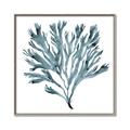 Picture of Teal Coral  _GroupedProduct_Square_Canvas_Framed_