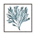 Picture of Teal Coral  _GroupedProduct_Square_Canvas_Framed_