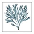 Picture of Teal Coral  _GroupedProduct_Square_Canvas_Framed_