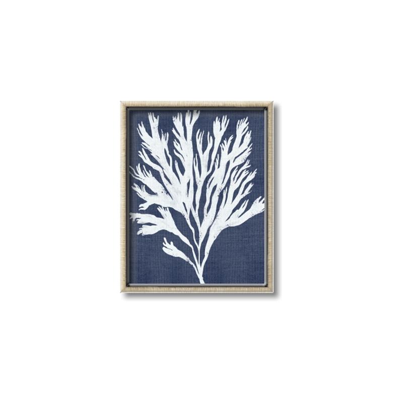 Picture of Navy Coral II  _GroupedProduct_Rectangle_Portrait_Canvas_Framed_