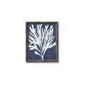 Picture of Navy Coral II  _GroupedProduct_Rectangle_Portrait_Canvas_Framed_