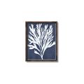 Picture of Navy Coral II  _GroupedProduct_Rectangle_Portrait_Canvas_Framed_