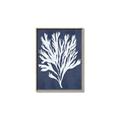 Picture of Navy Coral II  _GroupedProduct_Rectangle_Portrait_Canvas_Framed_