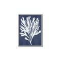 Picture of Navy Coral II  _GroupedProduct_Rectangle_Portrait_Canvas_Framed_