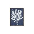 Picture of Navy Coral II  _GroupedProduct_Rectangle_Portrait_Canvas_Framed_