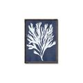 Picture of Navy Coral II  _GroupedProduct_Rectangle_Portrait_Canvas_Framed_