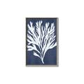 Picture of Navy Coral II  _GroupedProduct_Rectangle_Portrait_Canvas_Framed_