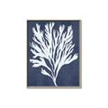Picture of Navy Coral II  _GroupedProduct_Rectangle_Portrait_Canvas_Framed_