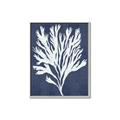 Picture of Navy Coral II  _GroupedProduct_Rectangle_Portrait_Canvas_Framed_