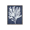 Picture of Navy Coral II  _GroupedProduct_Rectangle_Portrait_Canvas_Framed_