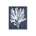 Picture of Navy Coral II  _GroupedProduct_Rectangle_Portrait_Canvas_Framed_